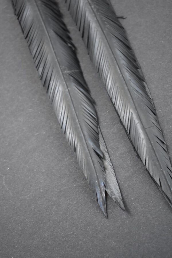 Inner Tube Vegan Feather Cut Long Earrings - Image 2